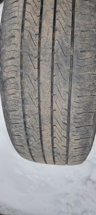 Жазғы дөңгелектер