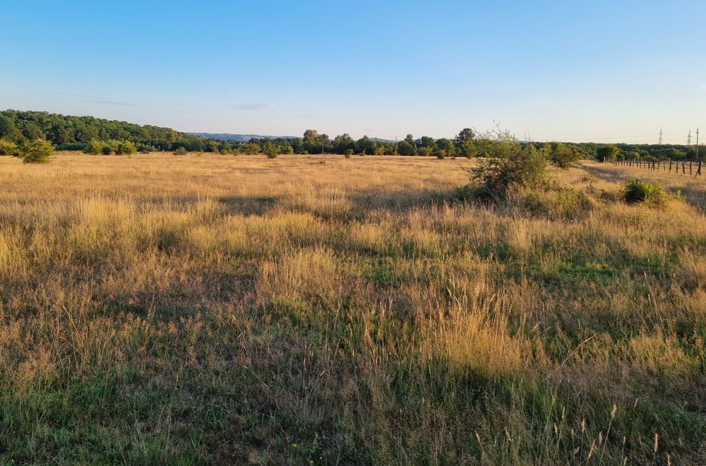 Teren pentru vanzare/ concesiune – ideal BESS / parc de stocare energie, parc fotovoltaic – 3,3 ha