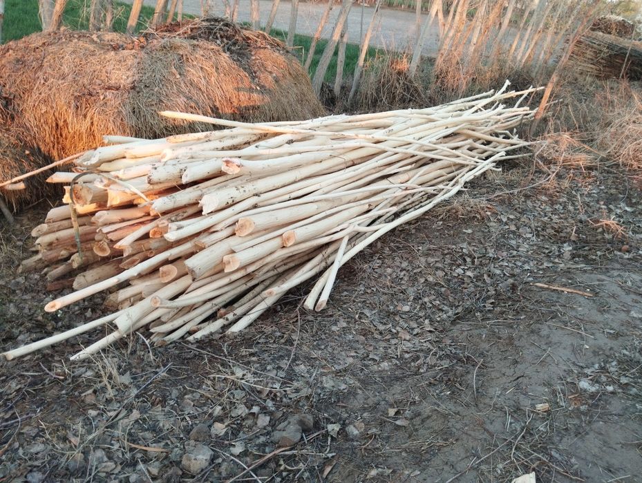 Qora tal xada sotiladi