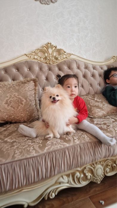 Девочка с полным пакетом документов в разведение