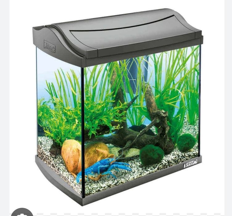 Vând acvariu Juwel Primo60 și Tetra complet echipate