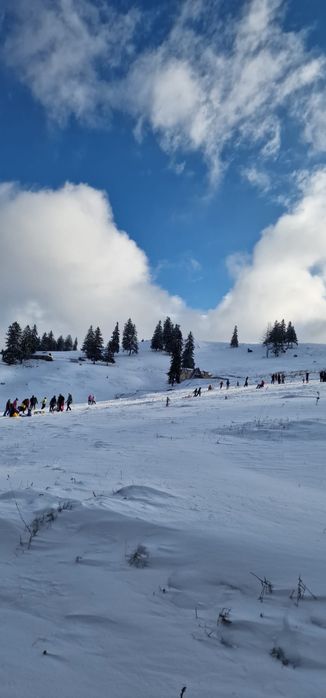 Pensiune de inchiriat in Fundata Dambovicioara