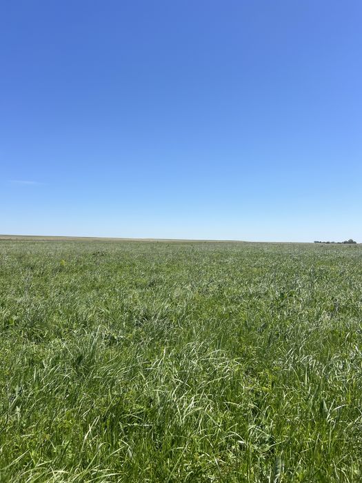 Продам Сено рулонах