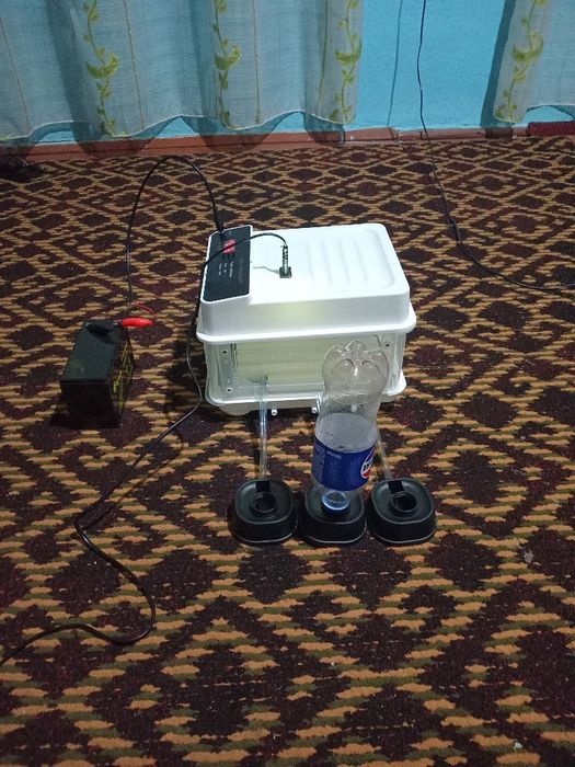 Сотилади  хитойнинг мининг инкубатор