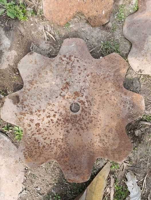 Диски  ромашка на БДТ (дисковая борона)