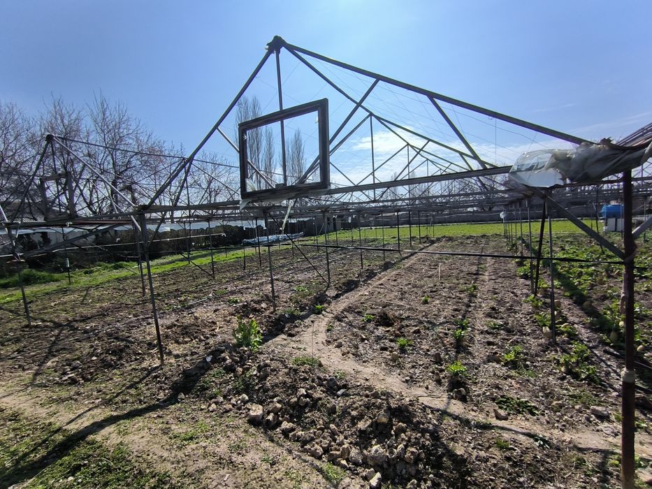 Teplitsa 6 sotx sotiladi