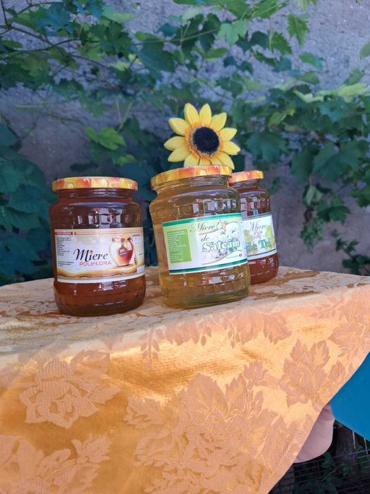 Vand miere de albine si stupi,in conditii excelente.