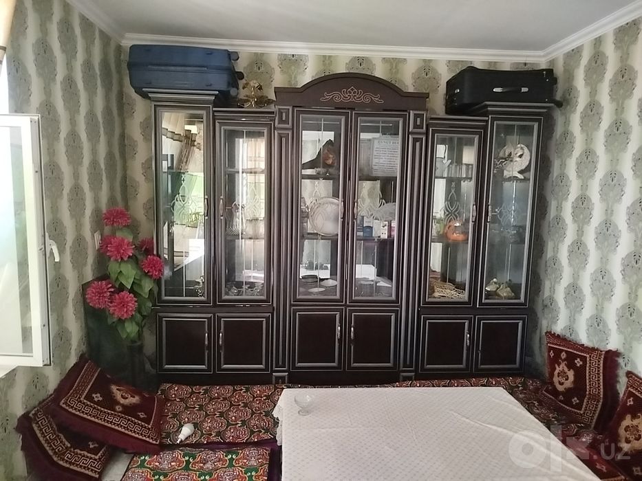 Uyga pashti yangi