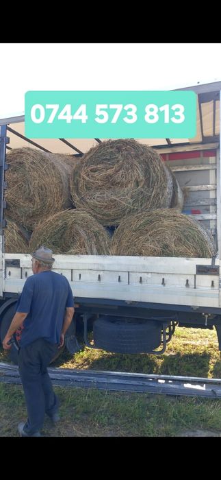 Baloti fan dreptunghiulari min.500.Rotunzi 40.de fan sau lucerna.LaTIR