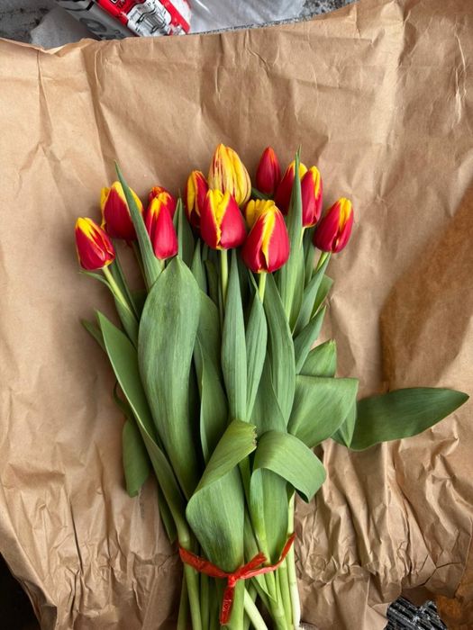тюльпан тюльпаны розы оптом