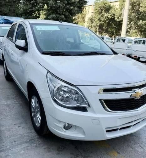 Cobalt MSM 2026 masla