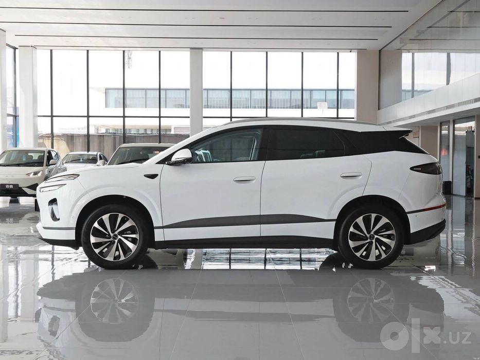 Byd sealion 06 2026