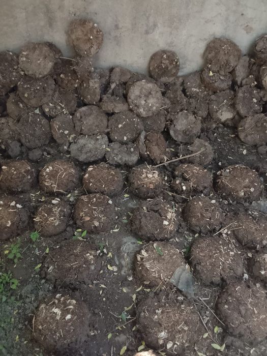 Тезек сатылады құйылған