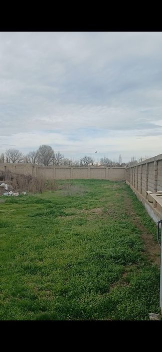 Курук ёр 16 сотих документлари жойида