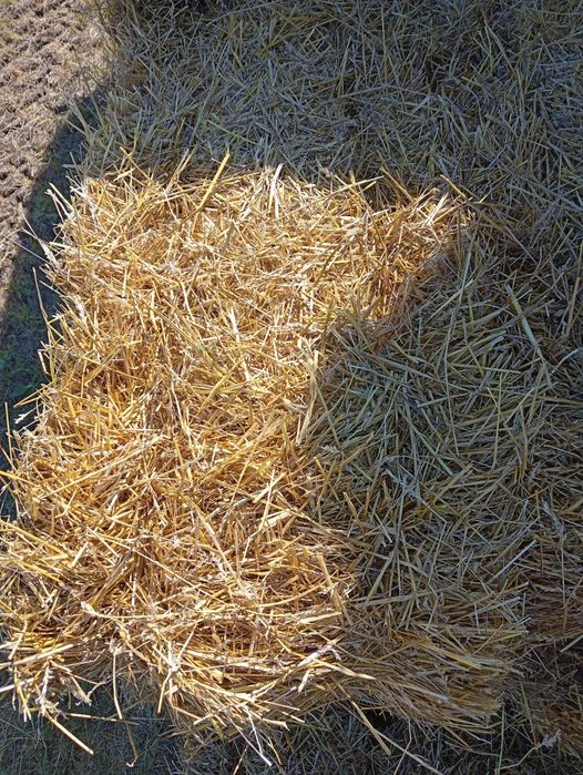Продам Солому. Сено