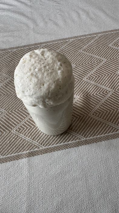 Сатылымда табиғи ашытқы