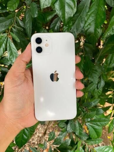 Продам iPhone 12 White 128GB  Б.У
