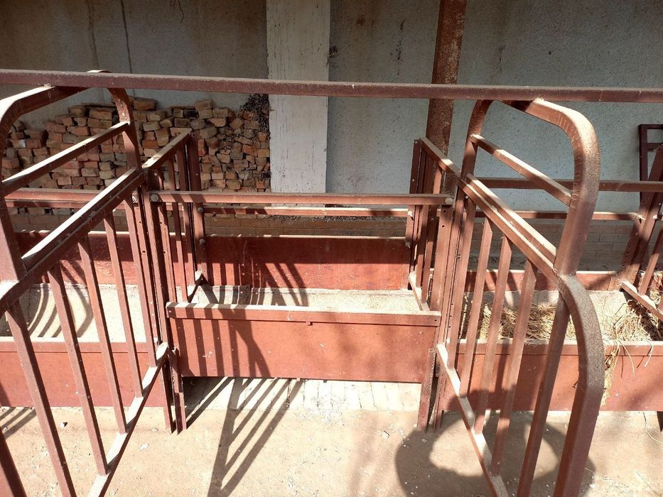 Охурлар бор мол ва қўйга