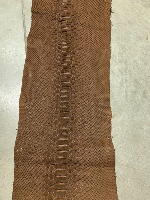 Естествена змийска кожа