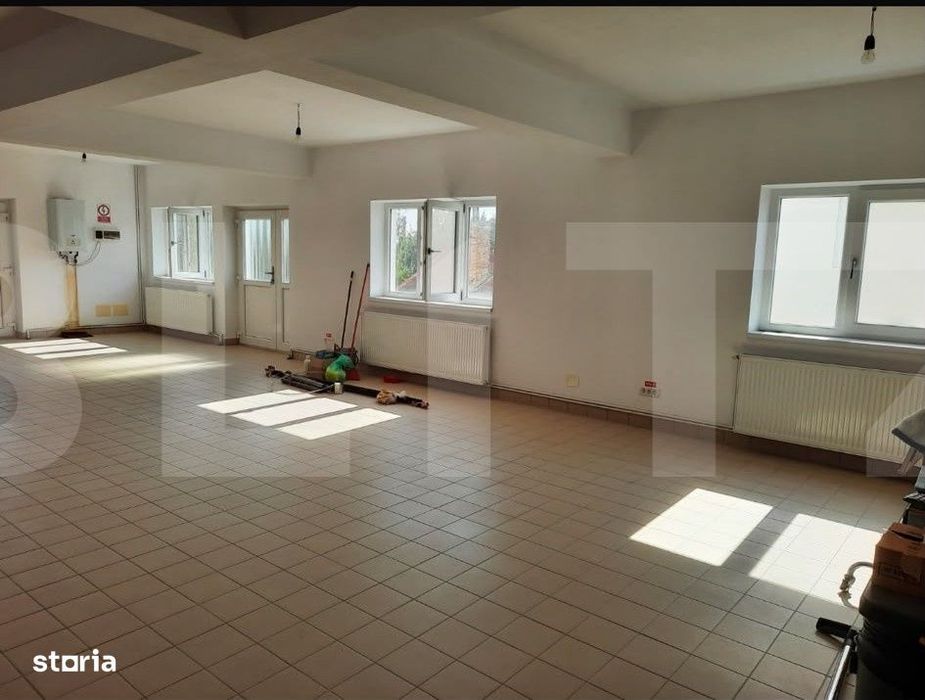 Casa+Spatiu Pentru Afacere/Locuit Iancu Jianu