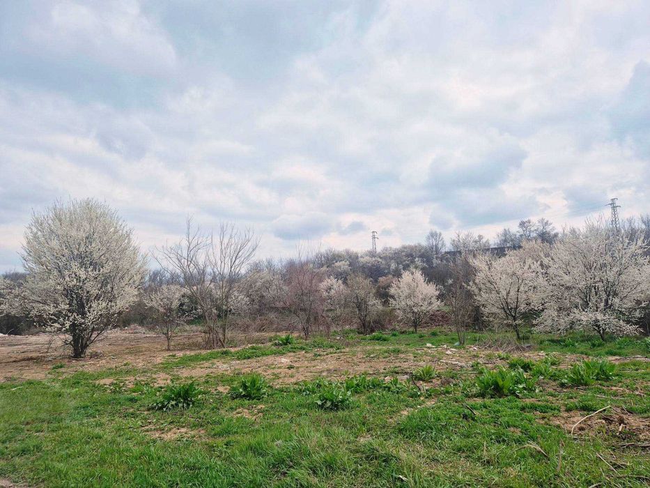 Продава се Парцел в Търговище, Промишлена зона - 9458 кв.м за 41 €/кв.м - Снимка #1