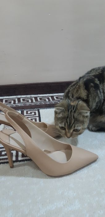 Продается женская обувь