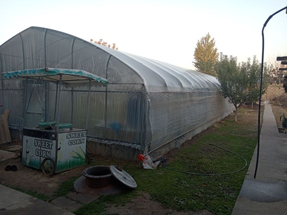 Mirzo Ulug‘bek uchastka sotiladi