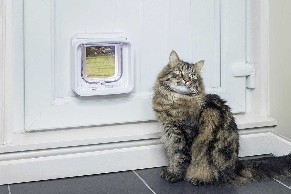 Чисто нова смарт WiFi врата за котки с микрочип SureFlap Cat Flap Connect (DualScan)