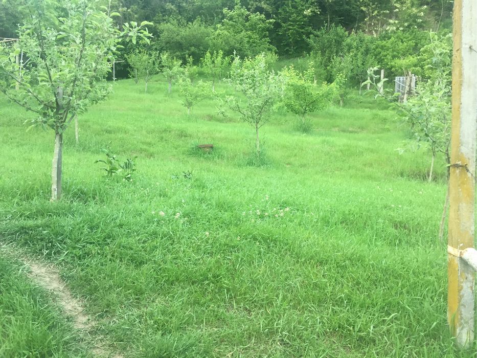 Teren Rm. Vâlcea, central- Știrbei Vodă