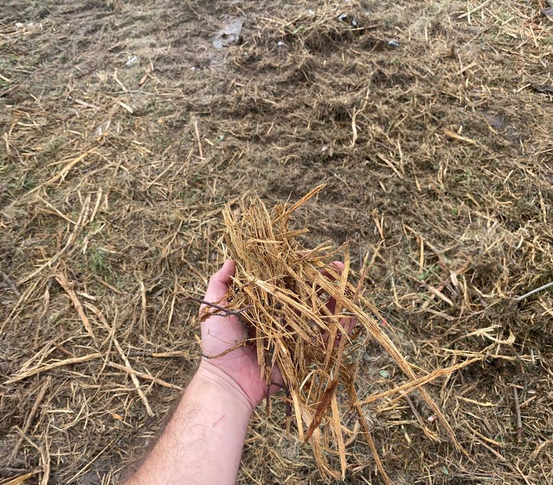 Curatare si defrisare teren de vegetatie nedorita