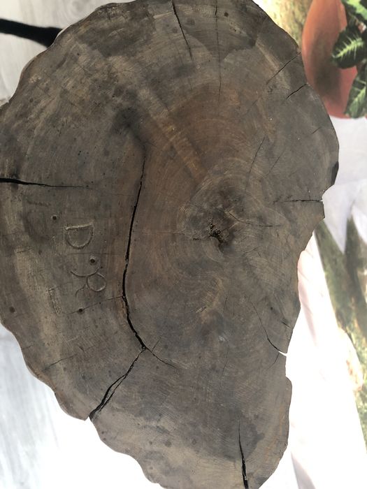 Sculptura deosebita in lemn