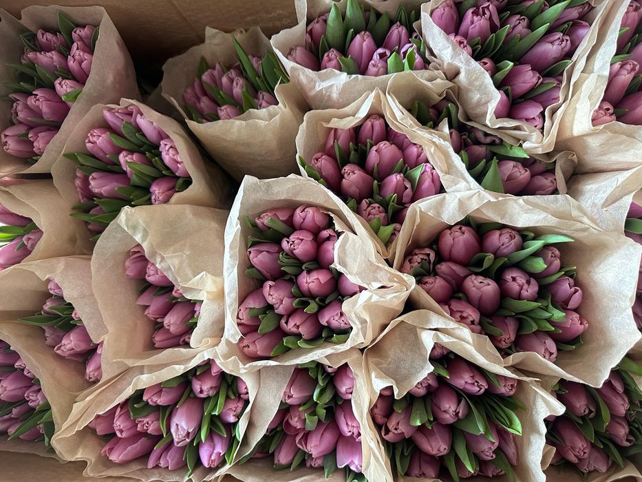 Тюльпаны предзаказ к 8 марта