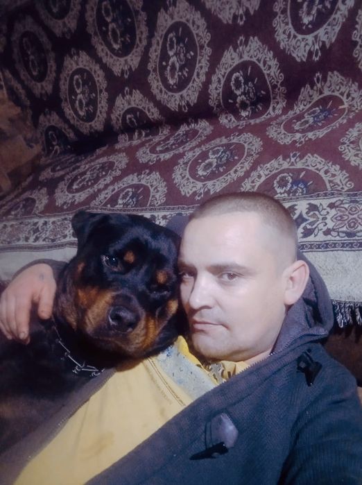 Вязка Ротвейлер кабель