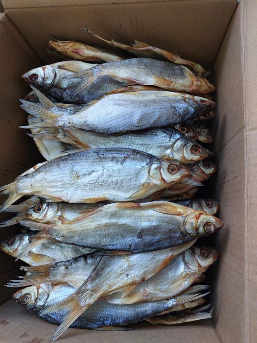 Сушеная рыба РЕБЕЦ