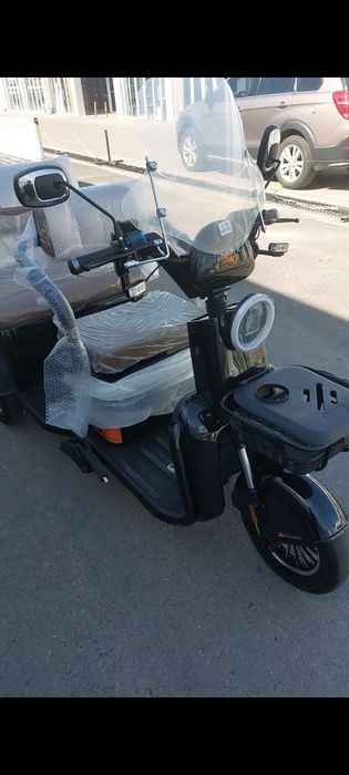 Tritsikl muravey 500$ dan boshlab