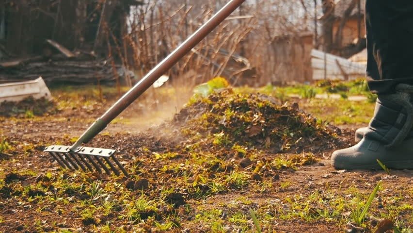 уборка, территории.