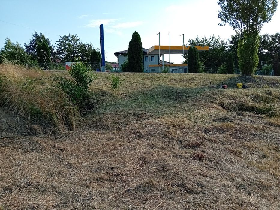 Teren intravilan