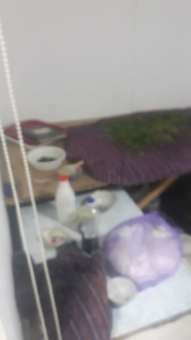 Tayyor biznes Somsaxona Sotiladi Narxini Telefonda gaplashamiz