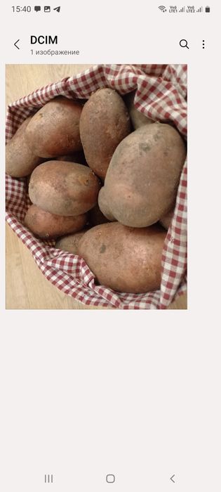 Картофель домашний 400тг