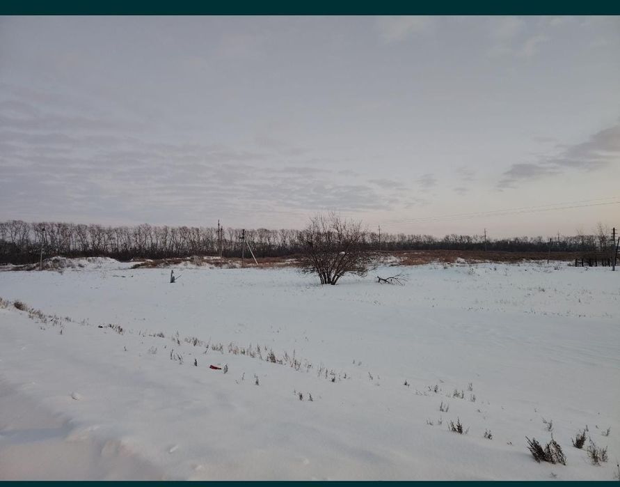 Земля в Бишкуле.