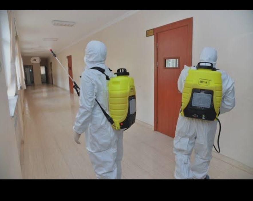 Уй ховлилар замда  мевали манзарали дарахтлар дорилаш