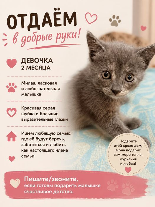 Кошечка, добрая, игривая
