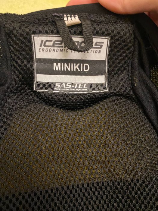 Състезателни ски GS, oбувки FISCHER, протектор за гръб Icetools