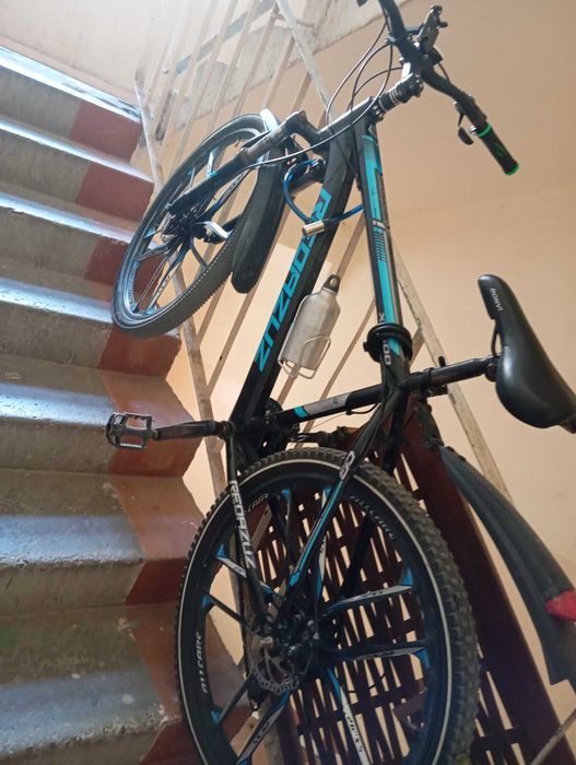 Velosiped, Reoazuz