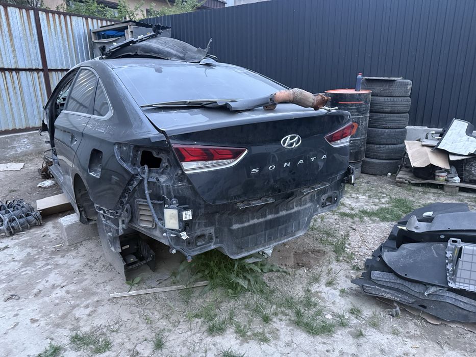 Соната лф задний крыло