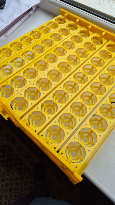 Ячейка для инкубации яиц.