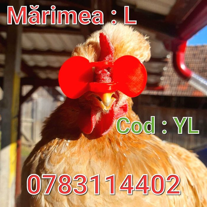 YL-Ochelari FARA AC-Pauni Fazani Cocosi Gaini Pasari- Anti Lupte-Batai