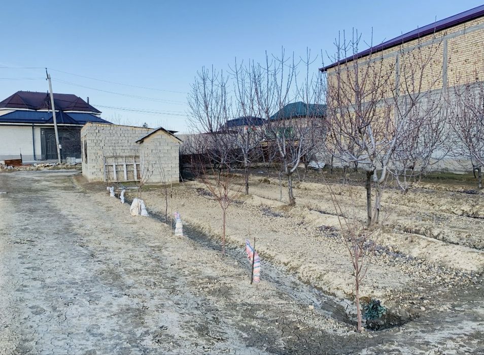 Продаётся земельный участок — 8 соток (≈800 м²)