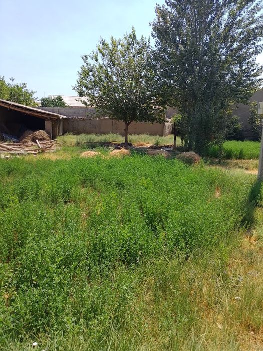 Уй сотилади 5 та хона ва иккита дахлиз тандирхона хаммом