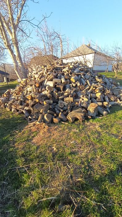 Отын бар дайын 4 камаз